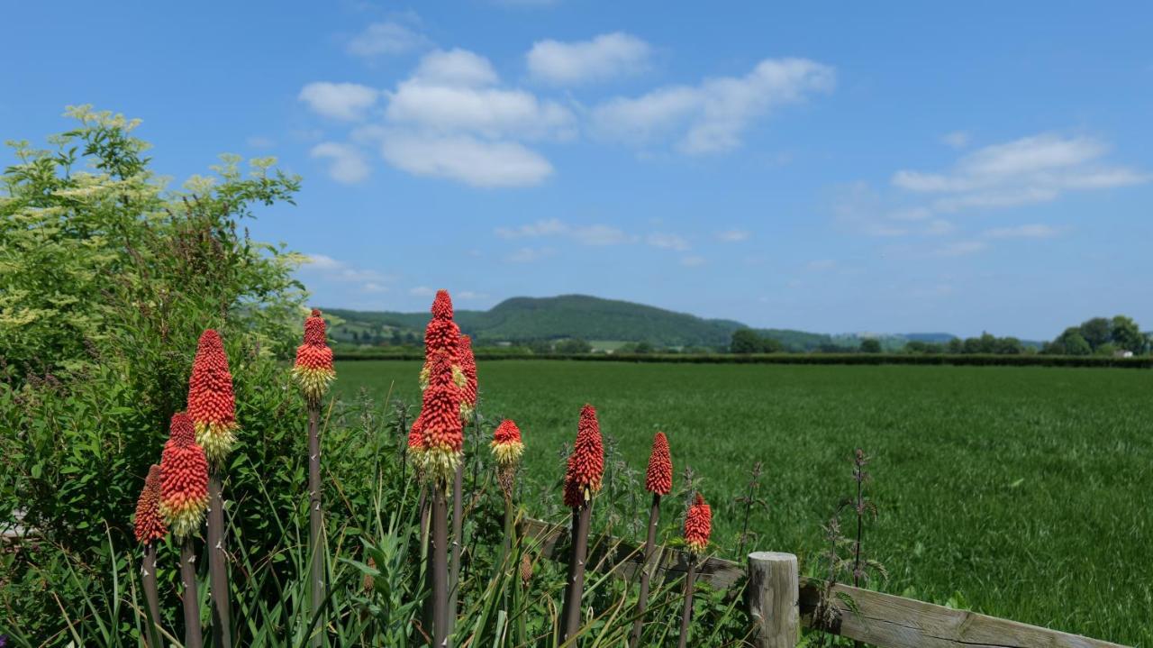 Country Cottage With Far Reaching Views Presteigne Eksteriør bilde