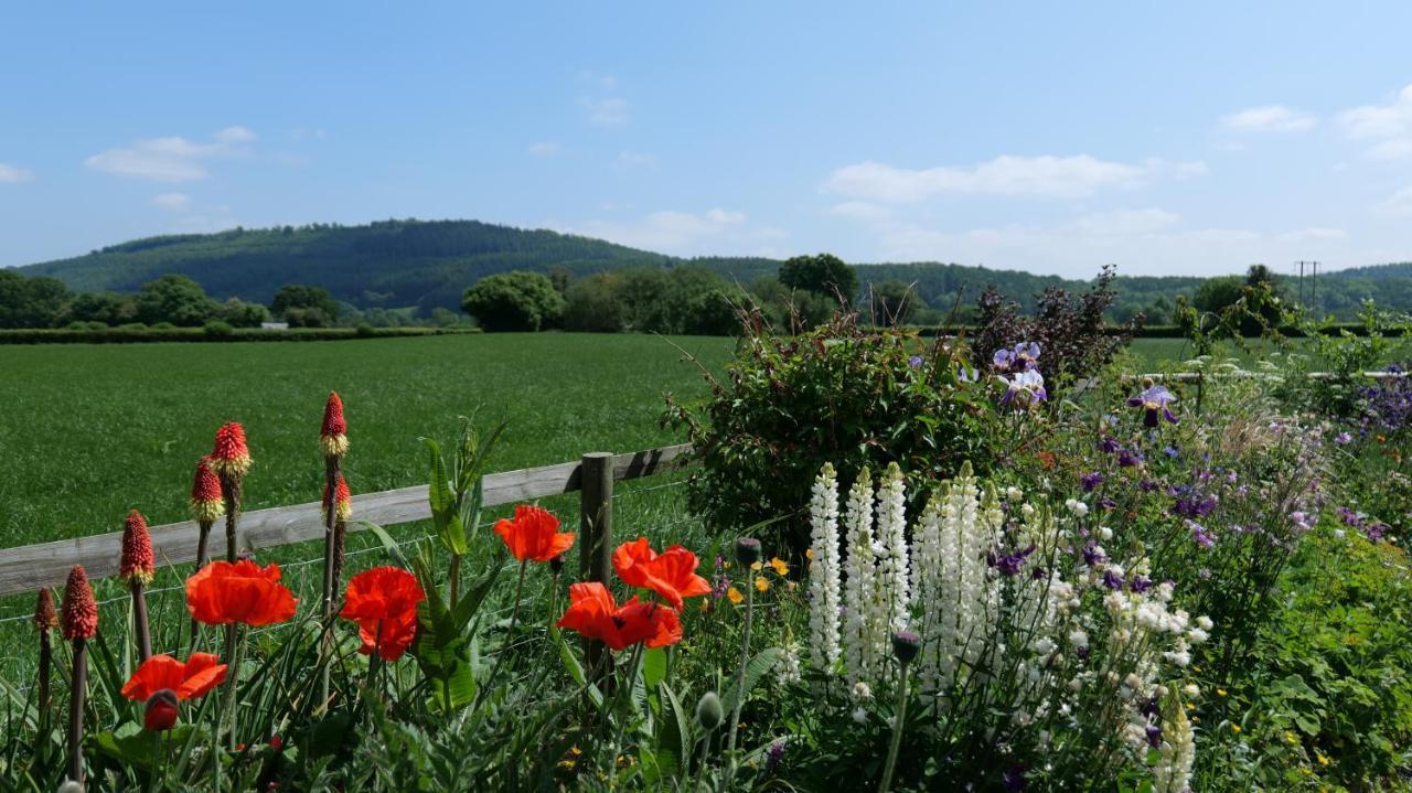 Country Cottage With Far Reaching Views Presteigne Eksteriør bilde